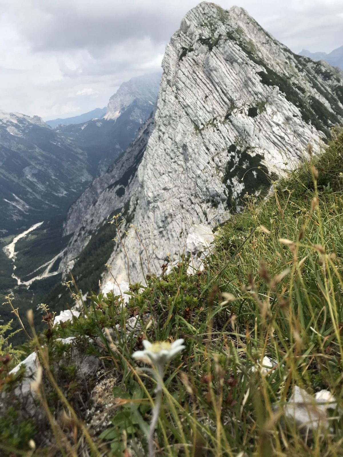 Srebrnjak – smer Vijuga V+/IV-V 450m