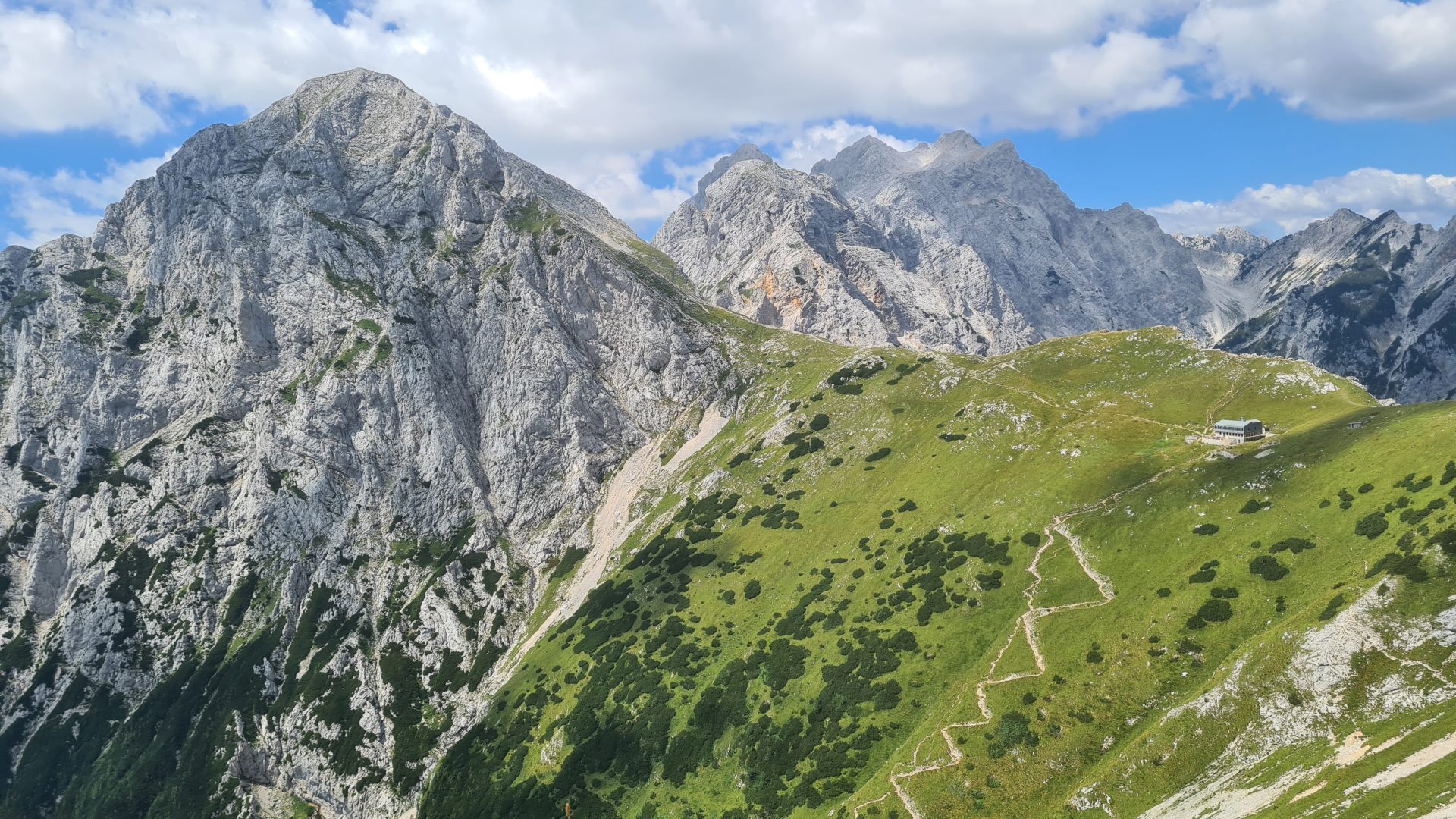Kratkohlača v Planjavi