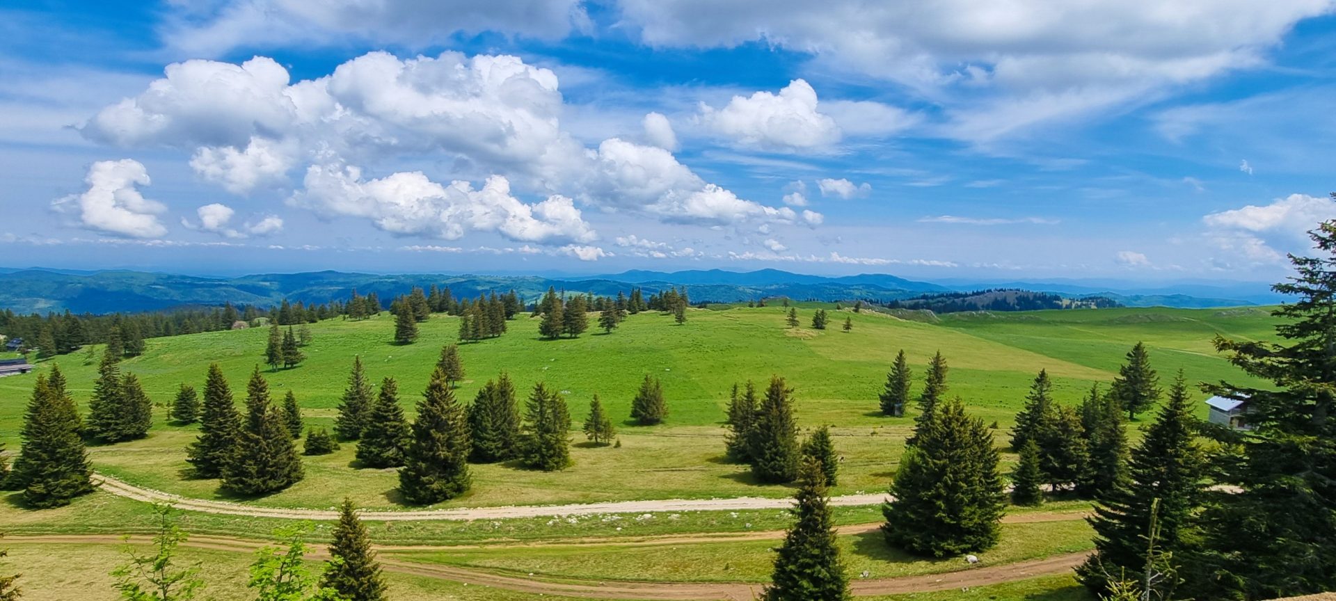 AO kolesarska avantura na Vlašiču