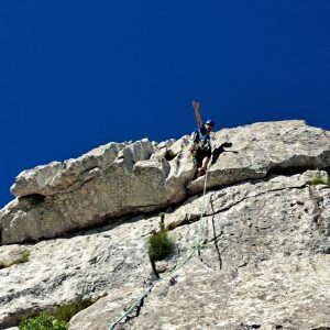 Zajahal nasedlega fosiliziranega kita